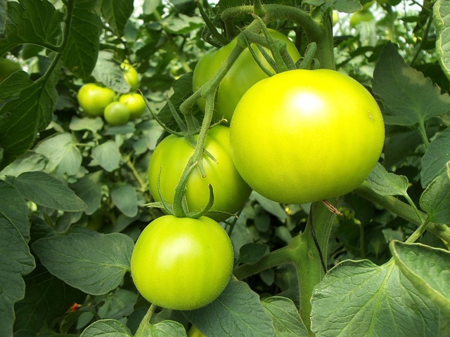 Blutdruckmessung zu Hause wichtig