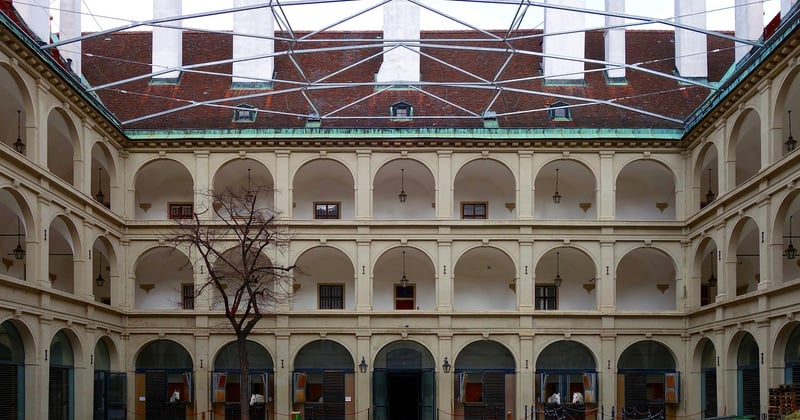 Die 15 beliebtesten spanischen Hunderassen im großen Überblick