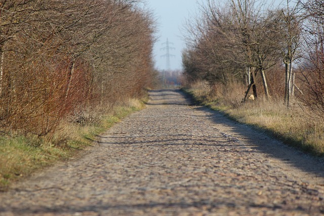 g8dbc6d0eadda95f0e966a6146ef361f0b6df7ab215d0b8f7889a2a83ddee7ee92e4dcd449f20678abd4eba94b6456a6fc7c839f1fdc7975a0601ed9ac736a438 640